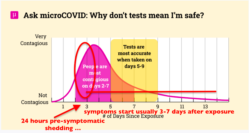graphique présentant la période de contagion, avec entouré en rouge les 24h pré symptomatiques, en jaune le moment où lest tests sont positifs